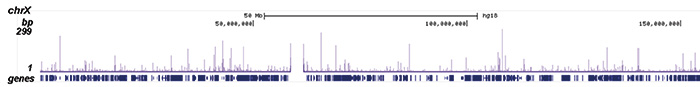 p53 Antibody ChIP-seq Grade